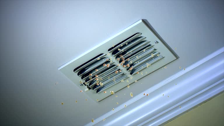 Best Commercial Air Duct Cleaning  in Lakeland Highlands, FL